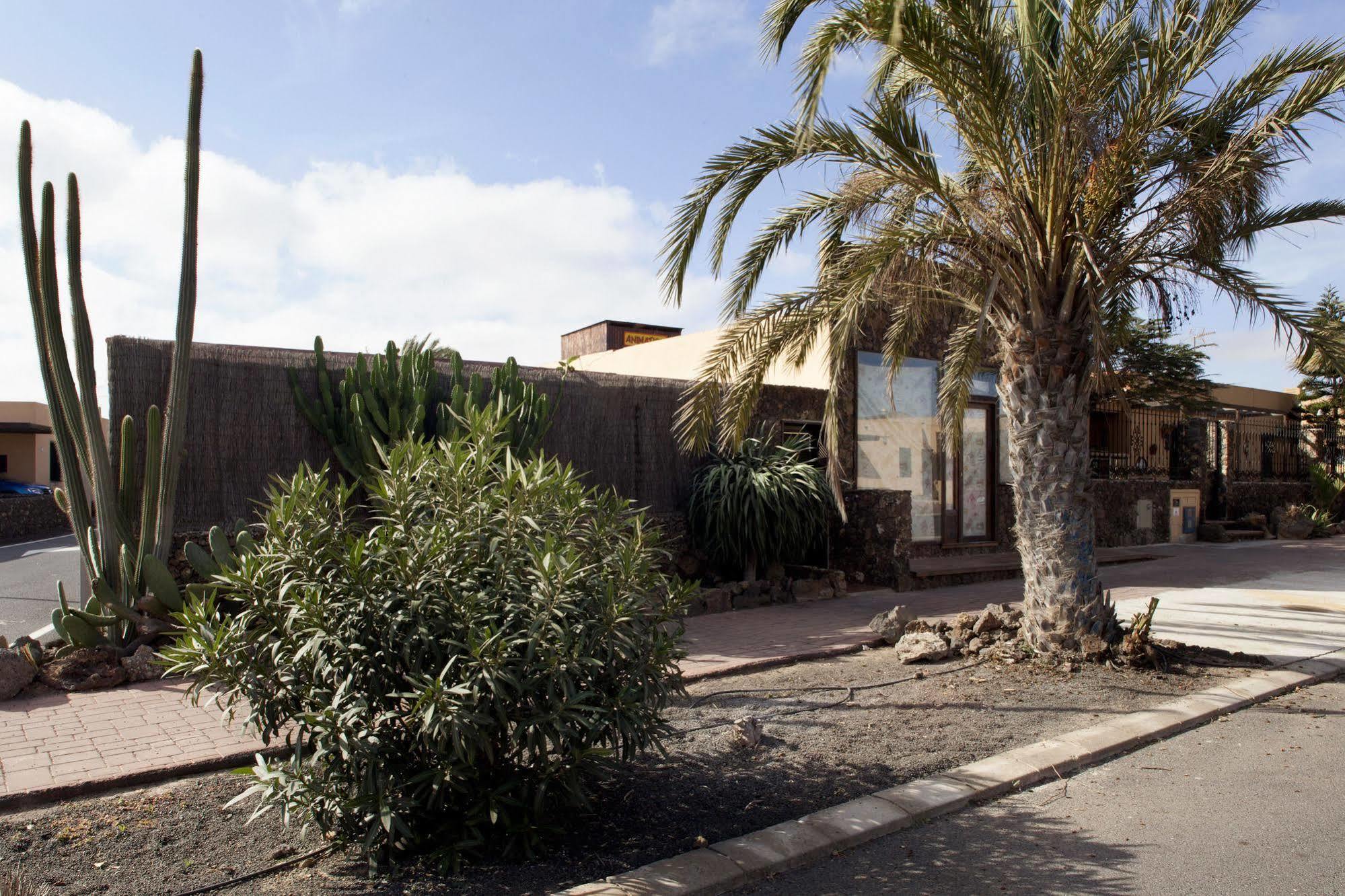 Apartamentos Laurisilva Corralejo Eksteriør billede